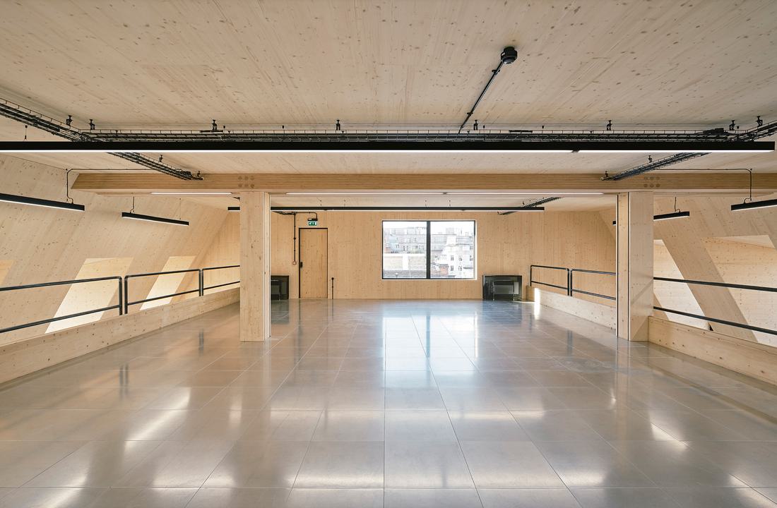 01532 Greville Street roof internal